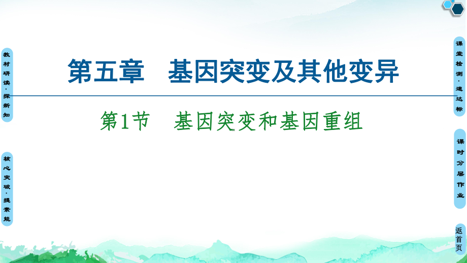 （新教材）2019新人教版高中生物必修二第5章第1节基因突变和基因重组课件.ppt_第1页