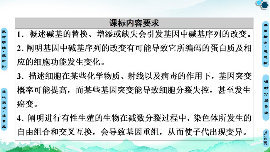 （新教材）2019新人教版高中生物必修二第5章第1节基因突变和基因重组课件.ppt_第2页