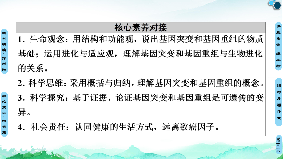 （新教材）2019新人教版高中生物必修二第5章第1节基因突变和基因重组课件.ppt_第3页