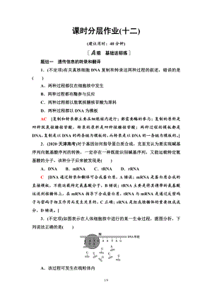 （新教材）2019人教版高中生物必修二12　基因指导蛋白质的合成课时作业.doc