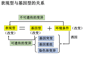 （新教材）2019新人教版高中生物必修二第5章第2节 染色体变异ppt课件.pptx