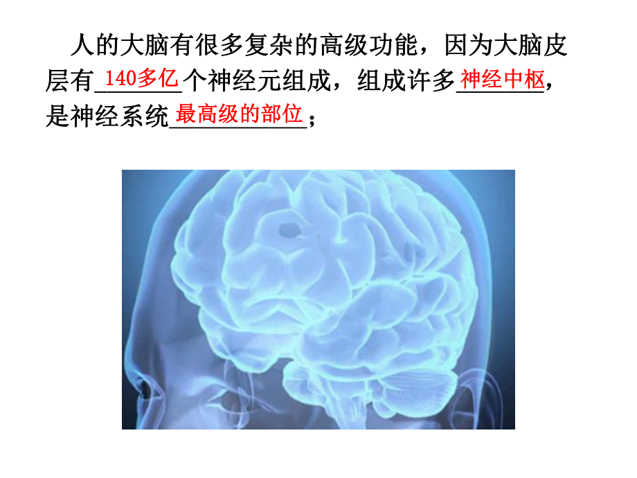 （新教材）2019人教版高中生物选择性必修一2.5人脑的高级功能ppt课件.pptx_第2页