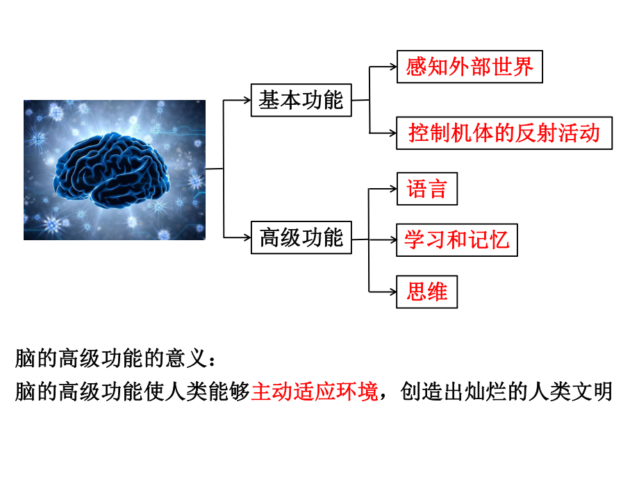 （新教材）2019人教版高中生物选择性必修一2.5人脑的高级功能ppt课件.pptx_第3页