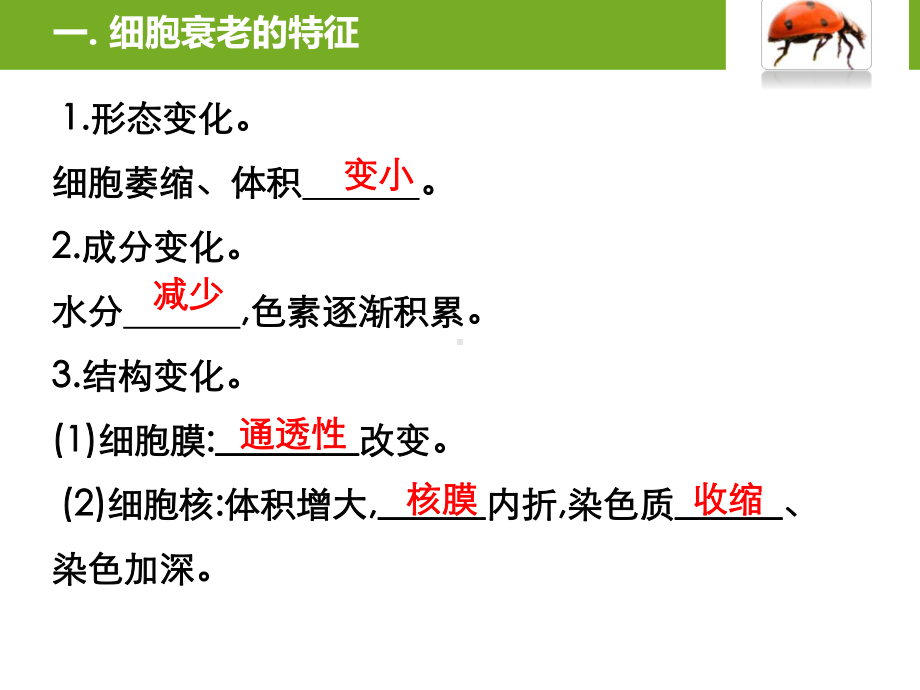 （新教材）2019新人教版高中生物必修一6.3 细胞的衰老和死亡 ppt课件.pptx_第3页