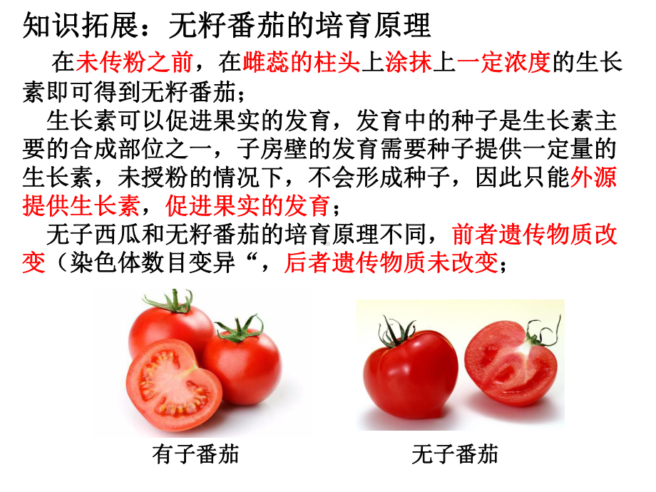 （新教材）2019人教版高中生物选择性必修一5.1 植物生长素3ppt课件.pptx_第3页