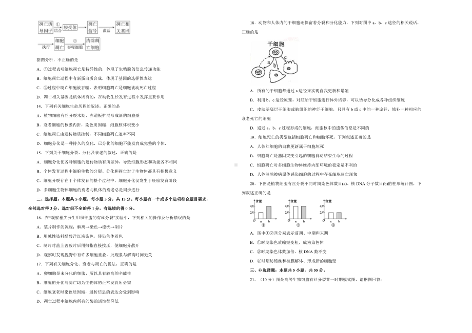 （新教材）2019新人教版生物必修一第六章细胞的生命历程双基训练试卷（一）.doc_第2页