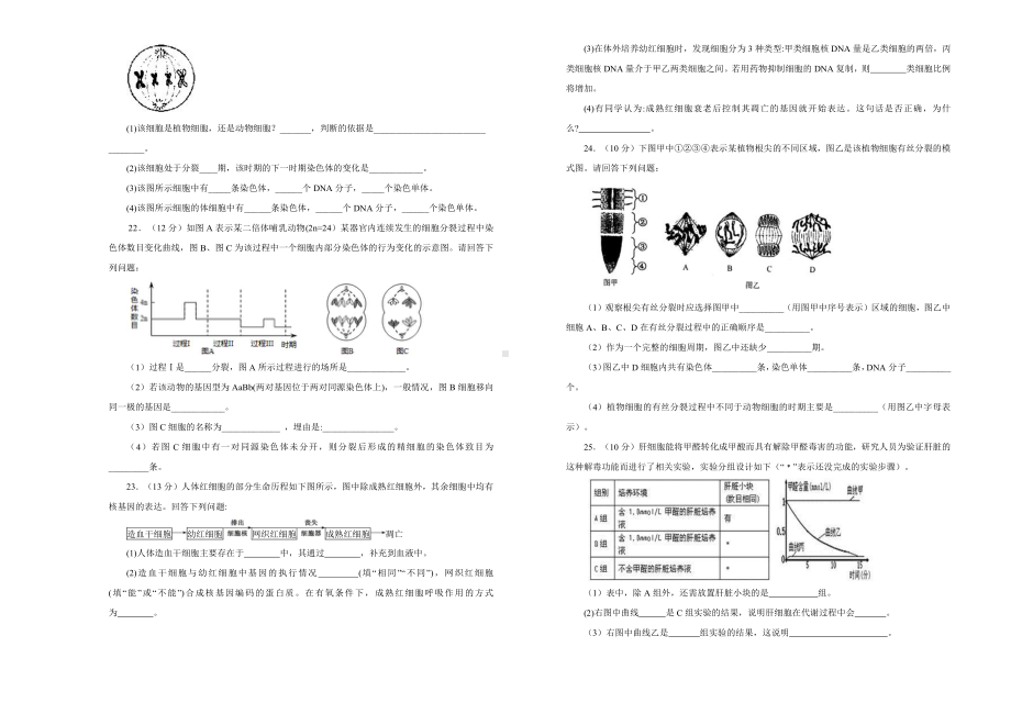 （新教材）2019新人教版生物必修一第六章细胞的生命历程双基训练试卷（一）.doc_第3页