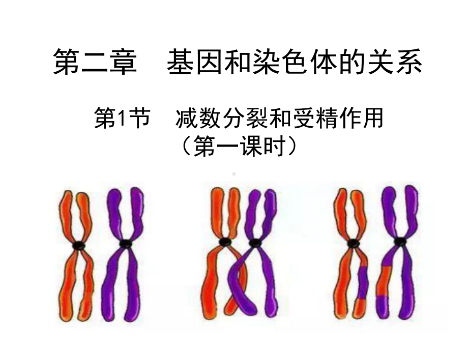 （新教材）2019新人教版高中生物必修二2.1减数分裂和受精作用（第一课时）ppt课件.pptx_第1页