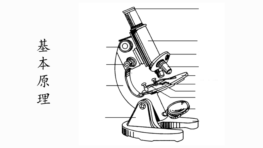 （新教材）2019新人教版高中生物必修一1.2细胞的多样性和统一性ppt课件.ppt_第2页