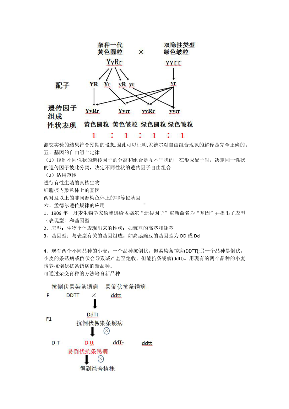 （新教材）2019人教版高中生物必修二1.2孟德尔豌豆杂交实验（二）教案.docx_第3页