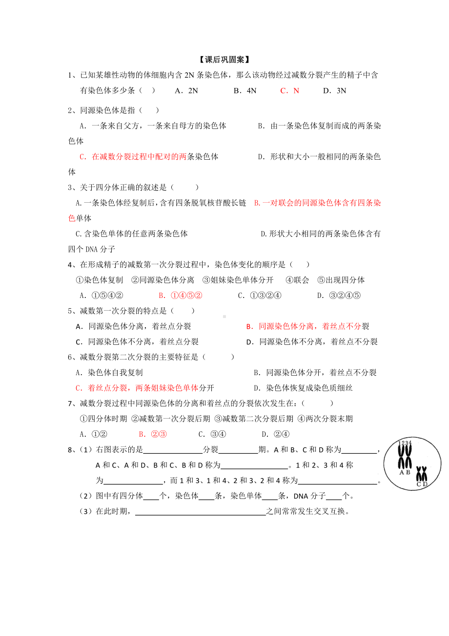 （新教材）2019人教版高中生物必修二2.1减数分裂第1课时学案.doc_第3页