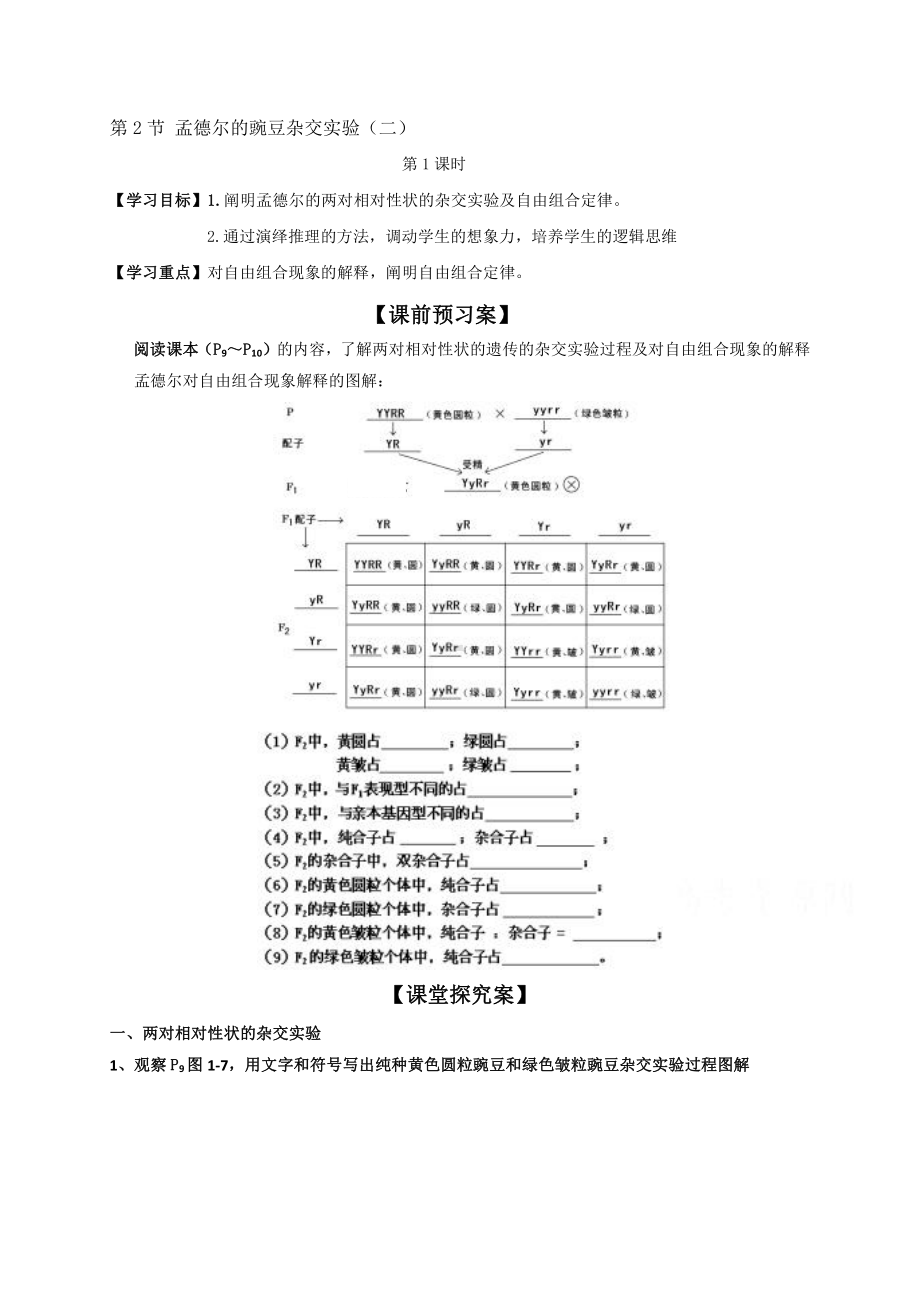 （新教材）2019人教版高中生物必修二1.2孟德尔的豌豆杂交实验二第1课时学案.doc_第1页