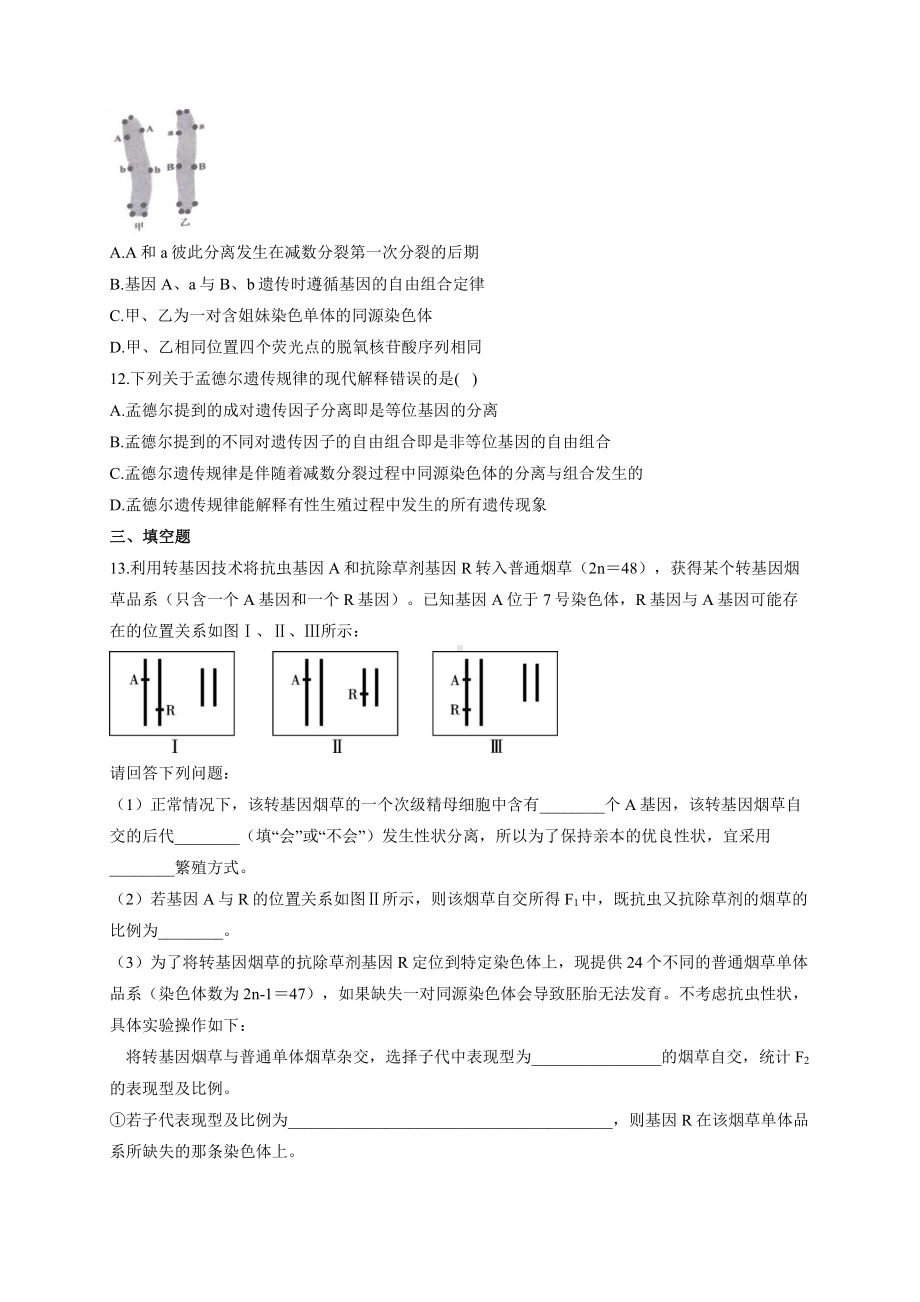 （新教材）2019人教版高中生物必修二暑假作业04 基因在染色体上 能力提升.docx_第3页