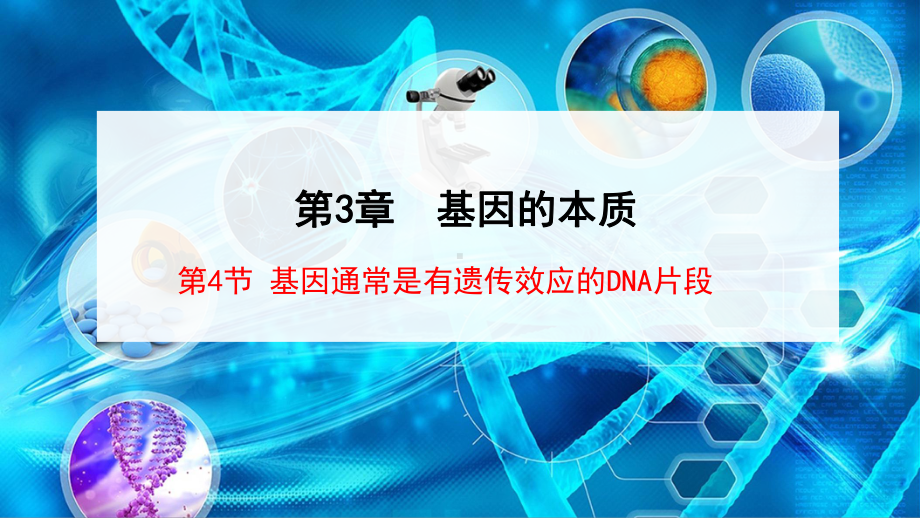 （新教材）2019人教版高中生物必修二3.4基因通常是有遗传效应的DNA片段ppt课件.ppt_第1页