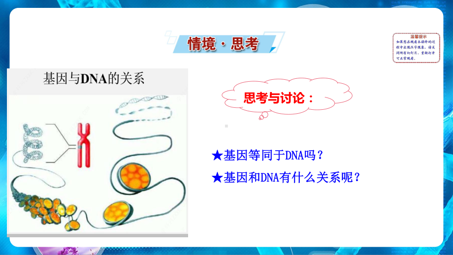 （新教材）2019人教版高中生物必修二3.4基因通常是有遗传效应的DNA片段ppt课件.ppt_第2页