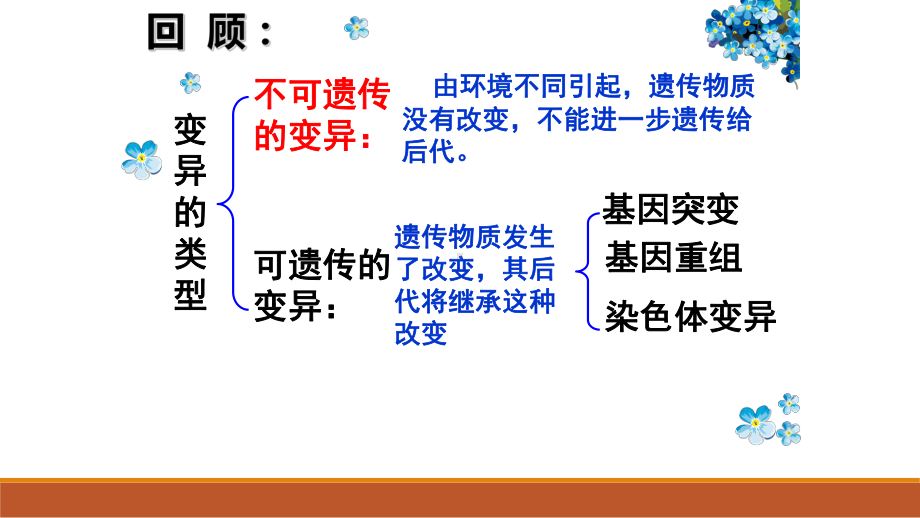 （新教材）2019新人教版高中生物必修二5.3人类遗传病ppt课件.ppt_第2页