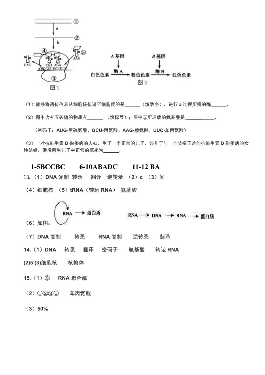 （新教材）2019人教版高中生物必修二4.1.2基因指导蛋白质的合成（2）强化训练.doc_第3页