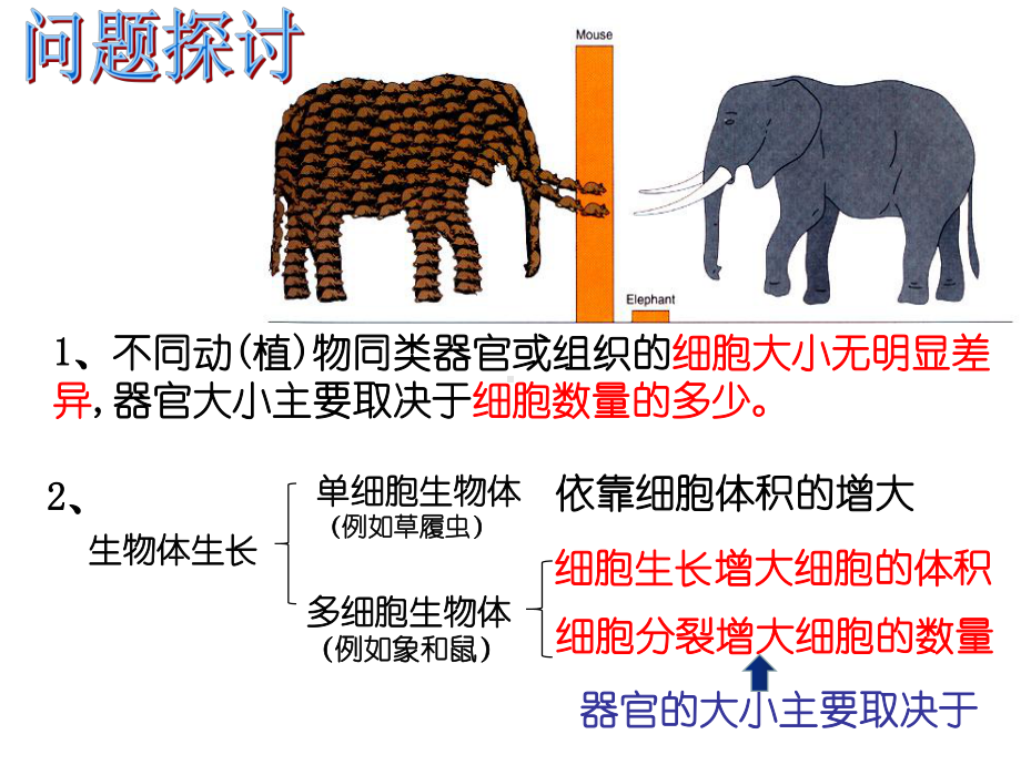 （新教材）2019新人教版高中生物必修一6.1 细胞的增殖 ppt课件.ppt_第2页