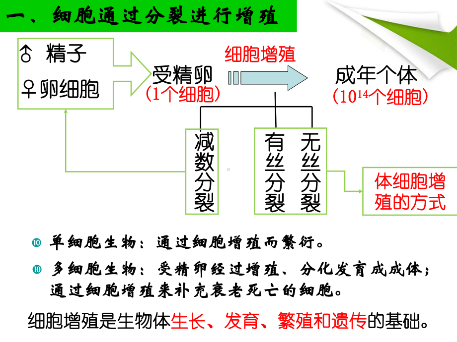 （新教材）2019新人教版高中生物必修一6.1 细胞的增殖 ppt课件.ppt_第3页