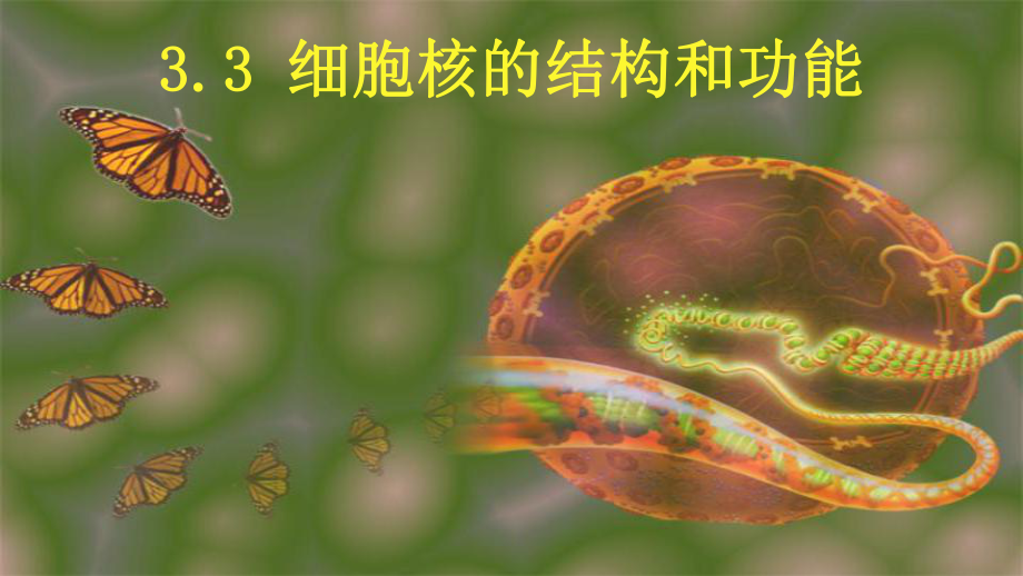 （新教材）2019新人教版高中生物必修一3.3细胞核的结构和功能ppt课件.ppt_第2页