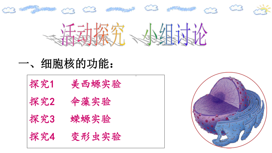 （新教材）2019新人教版高中生物必修一3.3细胞核的结构和功能ppt课件.ppt_第3页