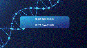 （新教材）2019新人教版高中生物必修二3.2DNA的结构课件.pptx