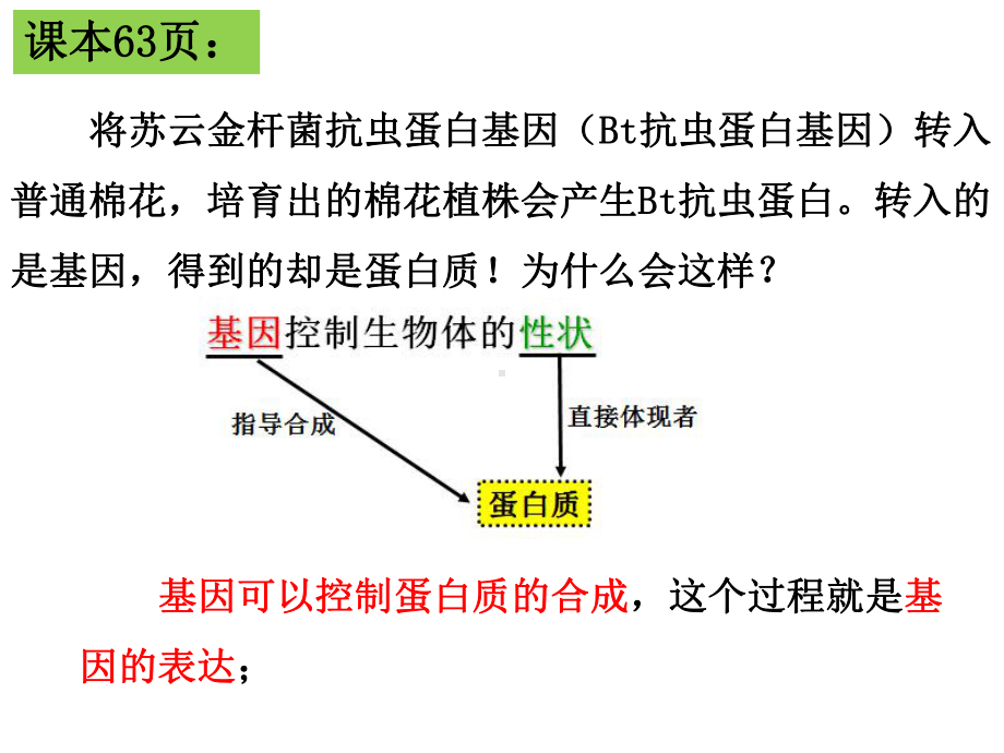 （新教材）2019新人教版高中生物必修二第4章第1节 基因指导蛋白质的合成ppt课件.pptx_第1页