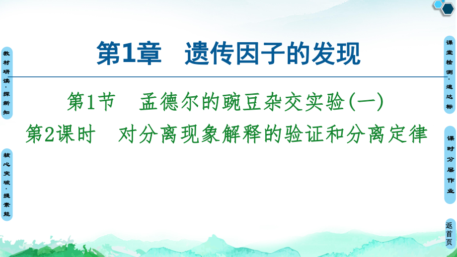 （新教材）2019新人教版高中生物必修二第1章第1节第2课时对分离现象解释的验证和分离定律课件.ppt_第1页