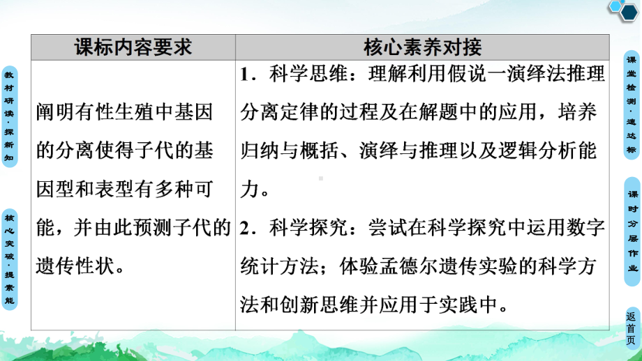 （新教材）2019新人教版高中生物必修二第1章第1节第2课时对分离现象解释的验证和分离定律课件.ppt_第2页