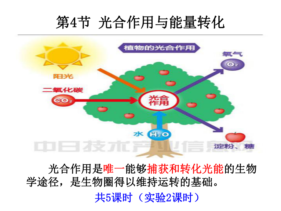 （新教材）2019新人教版高中生物必修一5.4 光合作用与能量转化 ppt课件.ppt_第1页