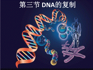 （新教材）2019新人教版高中生物必修二第3章第3节 DNA的复制ppt课件.pptx