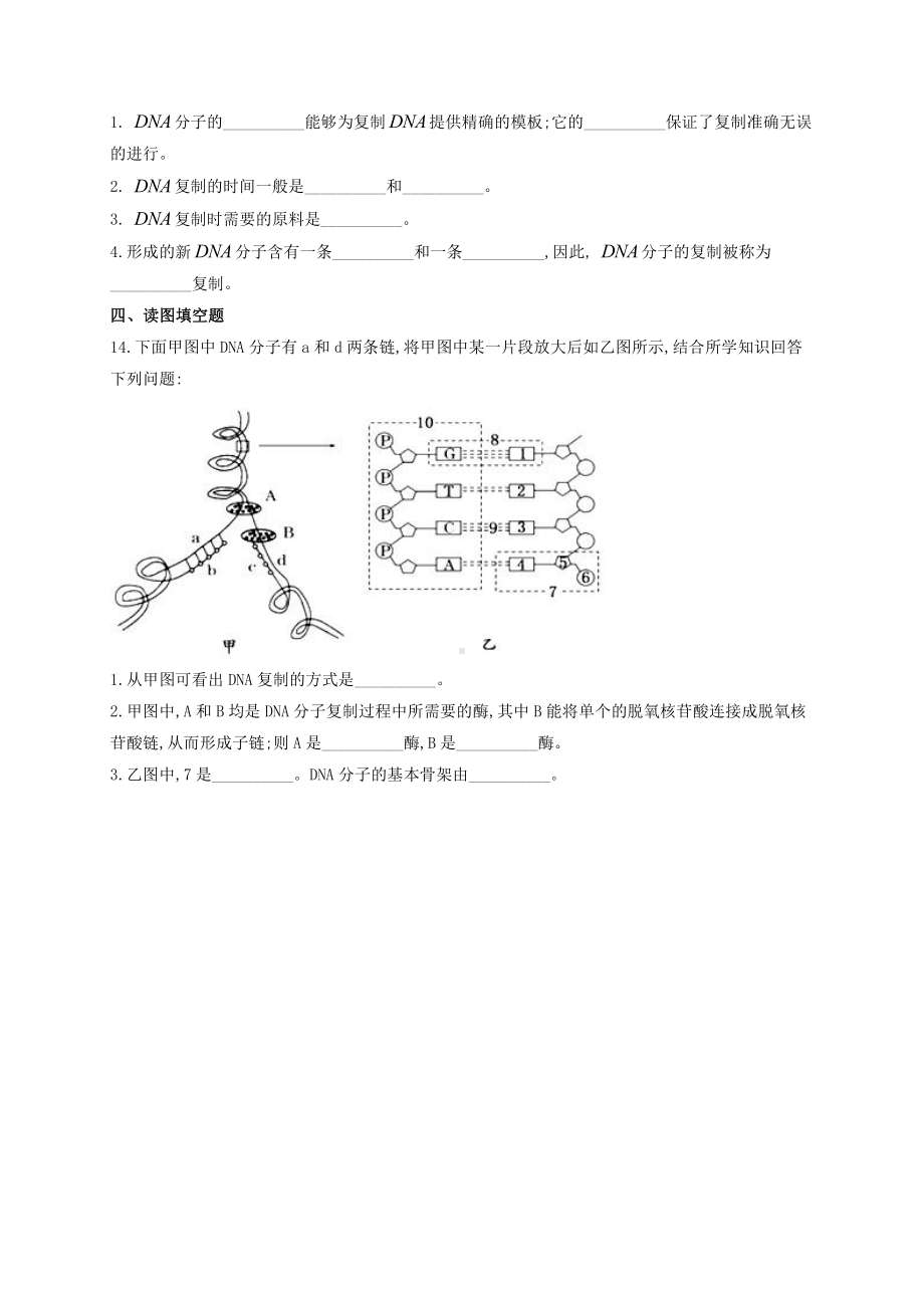 （新教材）2019人教版高中生物必修二暑假作业08 DNA的复制 基础训练.docx_第3页