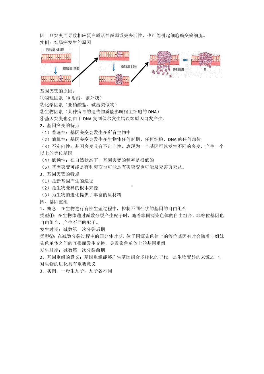 （新教材）2019人教版高中生物必修二5.1基因突变和基因重组教案.docx_第3页