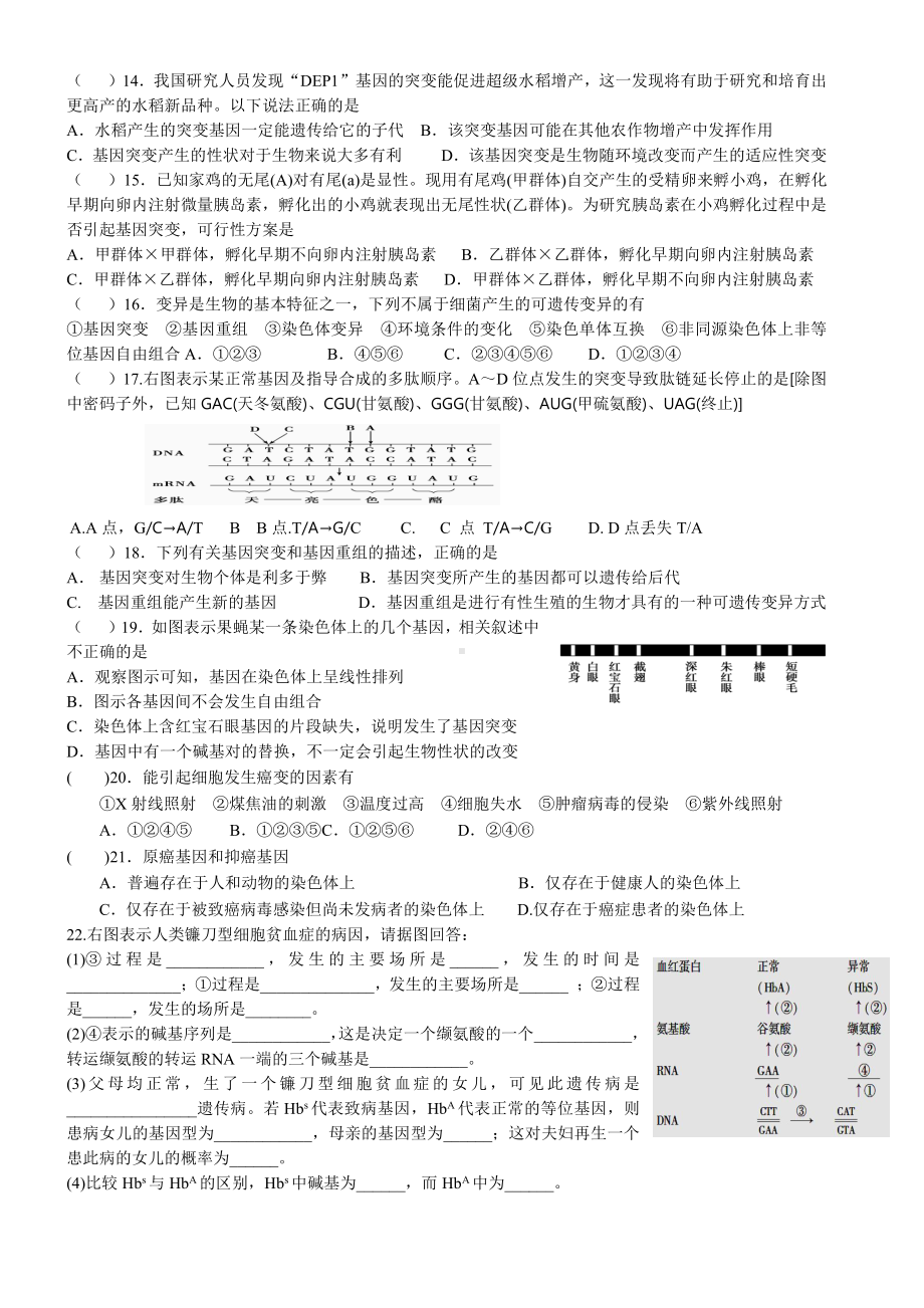 （新教材）2019人教版高中生物必修二5.1基因突变和基因重组(1)强化训练.doc_第2页