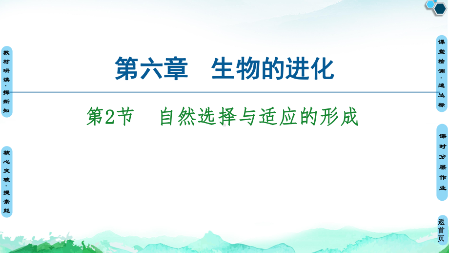 （新教材）2019新人教版高中生物必修二第6章第2节自然选择与适应的形成课件.ppt_第1页