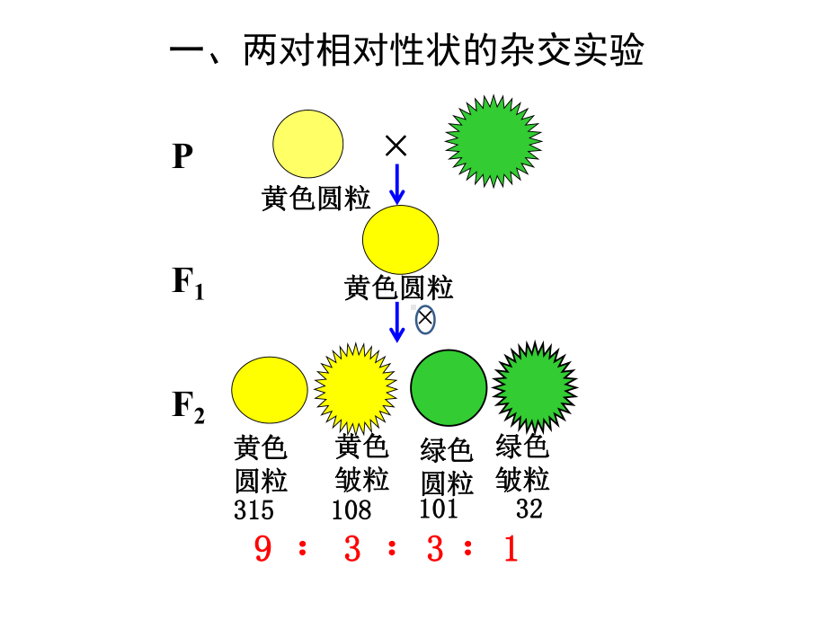 （新教材）2019新人教版高中生物必修二1.2孟德尔的豌豆杂交实验（二）ppt课件.pptx_第3页