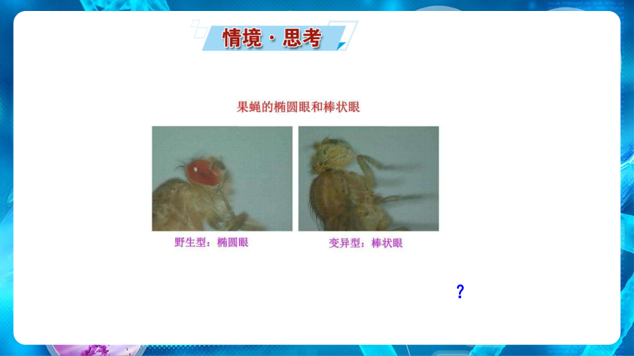 （新教材）2019新人教版高中生物必修二5.2.1染色体变异 ppt课件.ppt_第2页