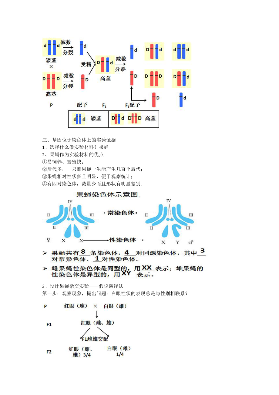 （新教材）2019人教版高中生物必修二2.2基因在染色体上教案.docx_第2页