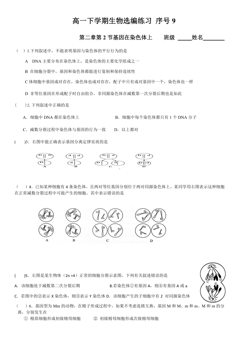 （新教材）2019人教版高中生物必修二2.2基因在染色体上强化训练.docx_第1页