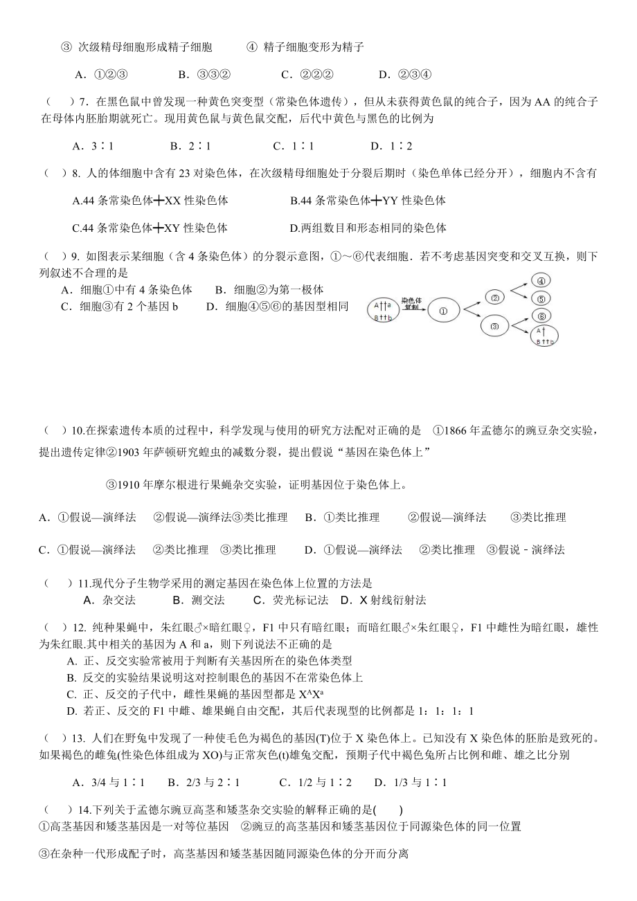 （新教材）2019人教版高中生物必修二2.2基因在染色体上强化训练.docx_第2页