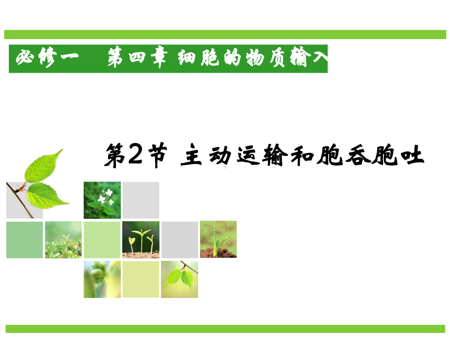 （新教材）2019新人教版高中生物必修一4.2 主动运输和胞吞、胞吐 ppt课件.ppt_第1页