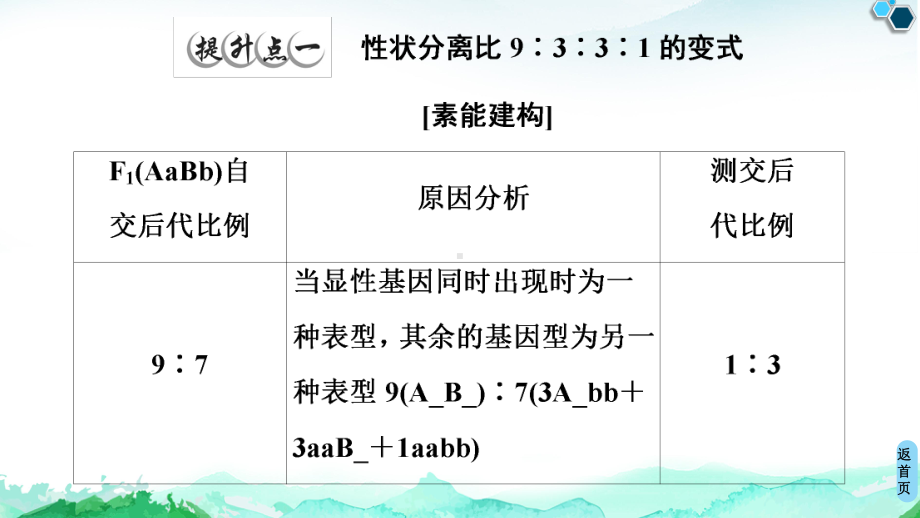 （新教材）2019新人教版高中生物必修二第1章素养提升课9：3：3：1的变式及个体基因型探究的实验设计题课件.ppt_第2页