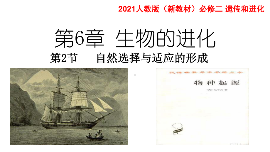 （新教材）2019新人教版高中生物必修二6.2自然选择和适应的形成ppt课件.pptx_第1页