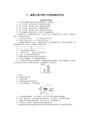 （新教材）2019人教版高中生物必修二05减数分裂与精子和卵细胞的形成课后作业.doc