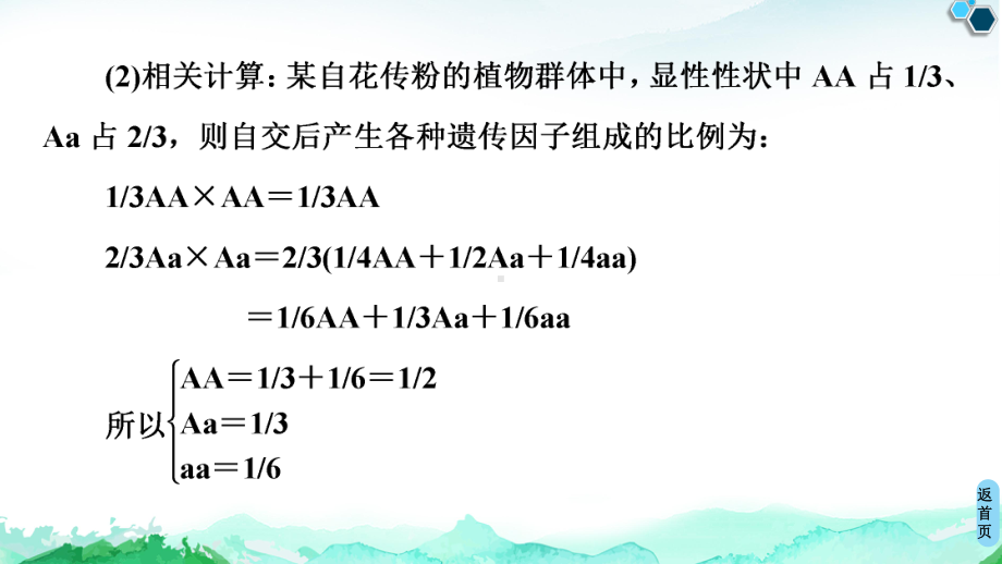 （新教材）2019新人教版高中生物必修二第1章素养提升课自交、自由交配和分离定律特例课件.ppt_第3页