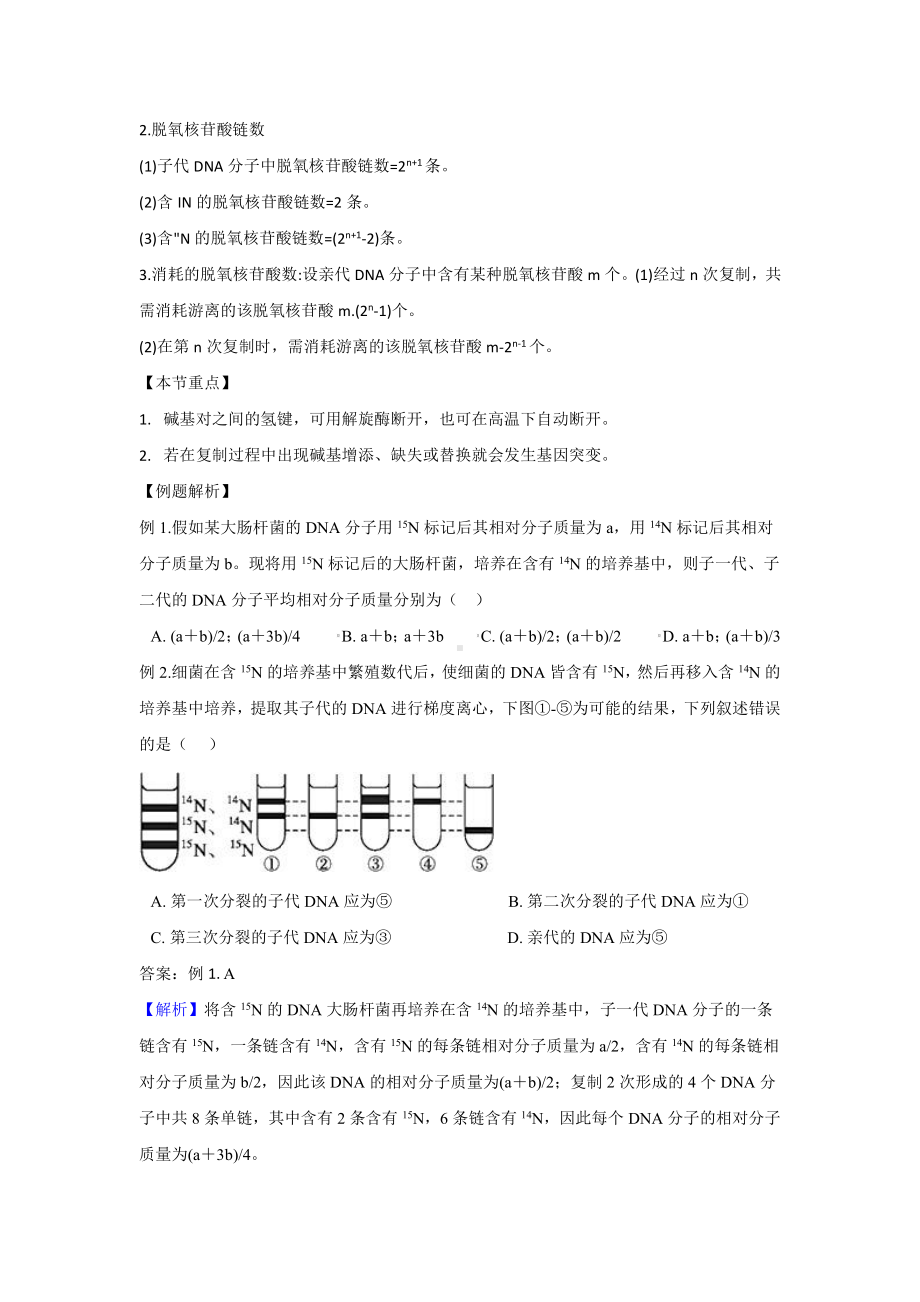 （新教材）2019人教版高中生物必修二3.3DNA的复制讲义.docx_第2页