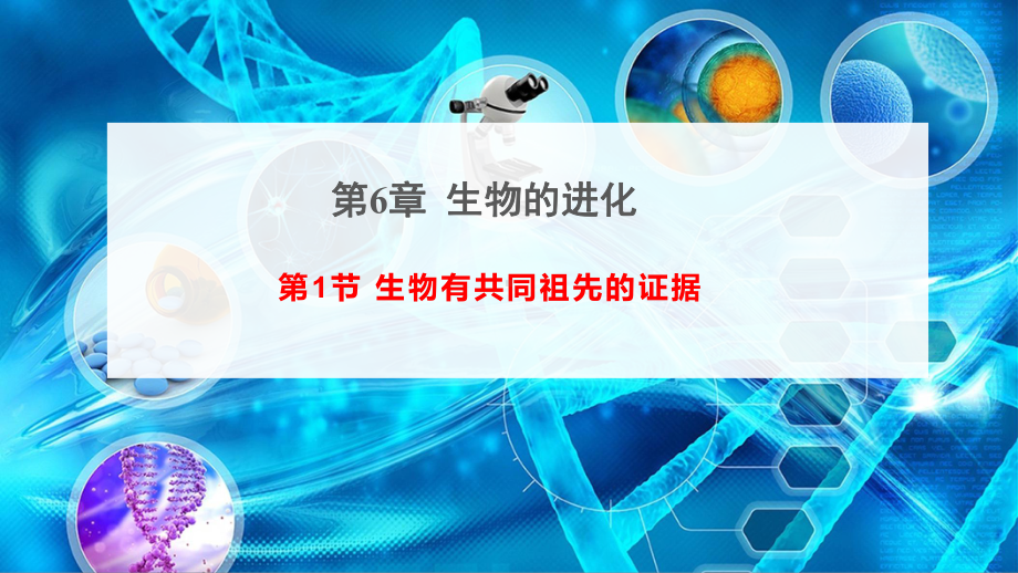 （新教材）2019新人教版高中生物必修二6.1生物有共同祖先的证据 ppt课件.ppt_第1页