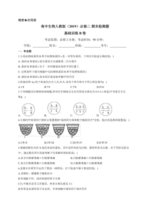 （新教材）2019人教版高中生物必修二期末检测题 基础训练B卷.docx