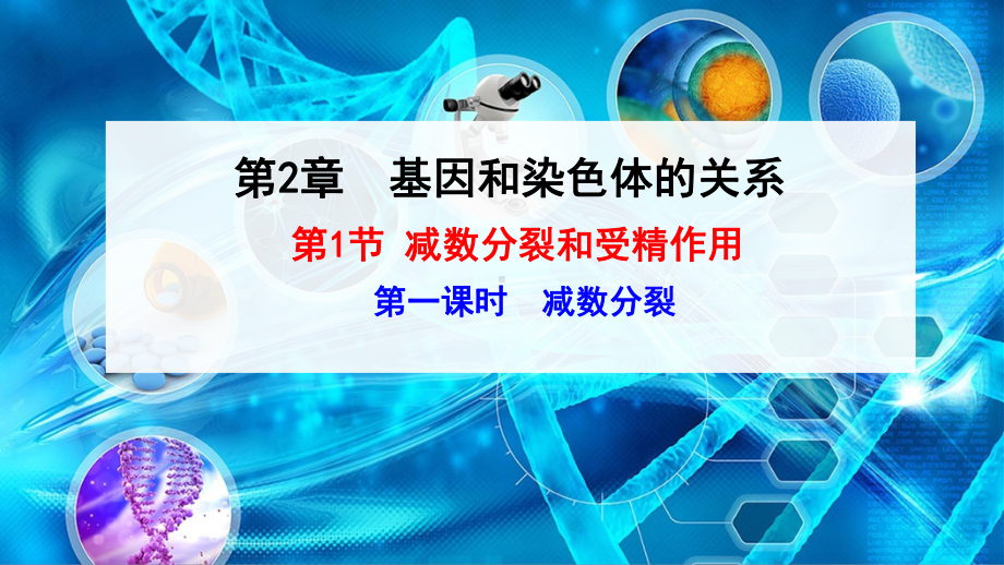 （新教材）2019新人教版高中生物必修二2.1.1减数分裂ppt课件.ppt_第1页