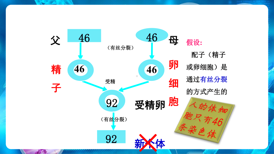 （新教材）2019新人教版高中生物必修二2.1.1减数分裂ppt课件.ppt_第3页